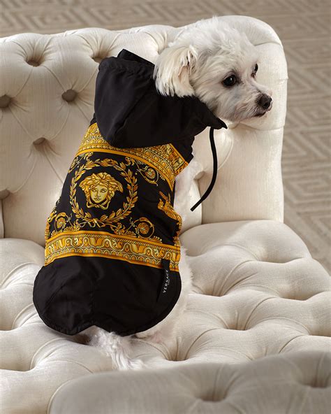 versace dog raincoat